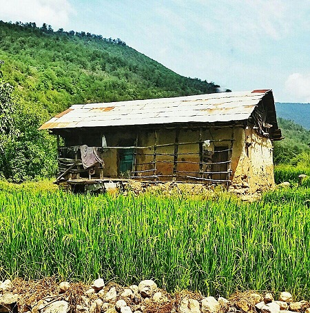 شکوه و عظمت چهاردانگه؛رو به افول