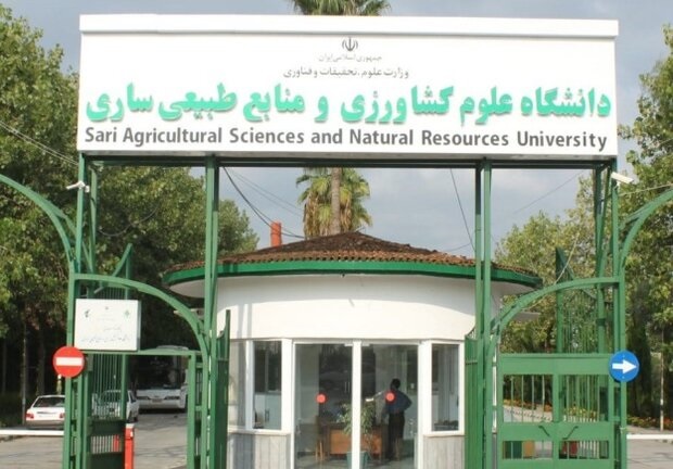 تولید نانو غذا برای بیماران گاستروکتومی از سوی محققان دانشگاه علوم کشاورزی و منابع طبیعی ساری برای نخستین بار در دنیا