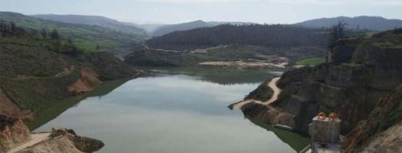 نامه متخصصان و فعالان محیط زیستی کشور خطاب به رییس سازمان جنگل ها،مراتع وآبخیزداری؛