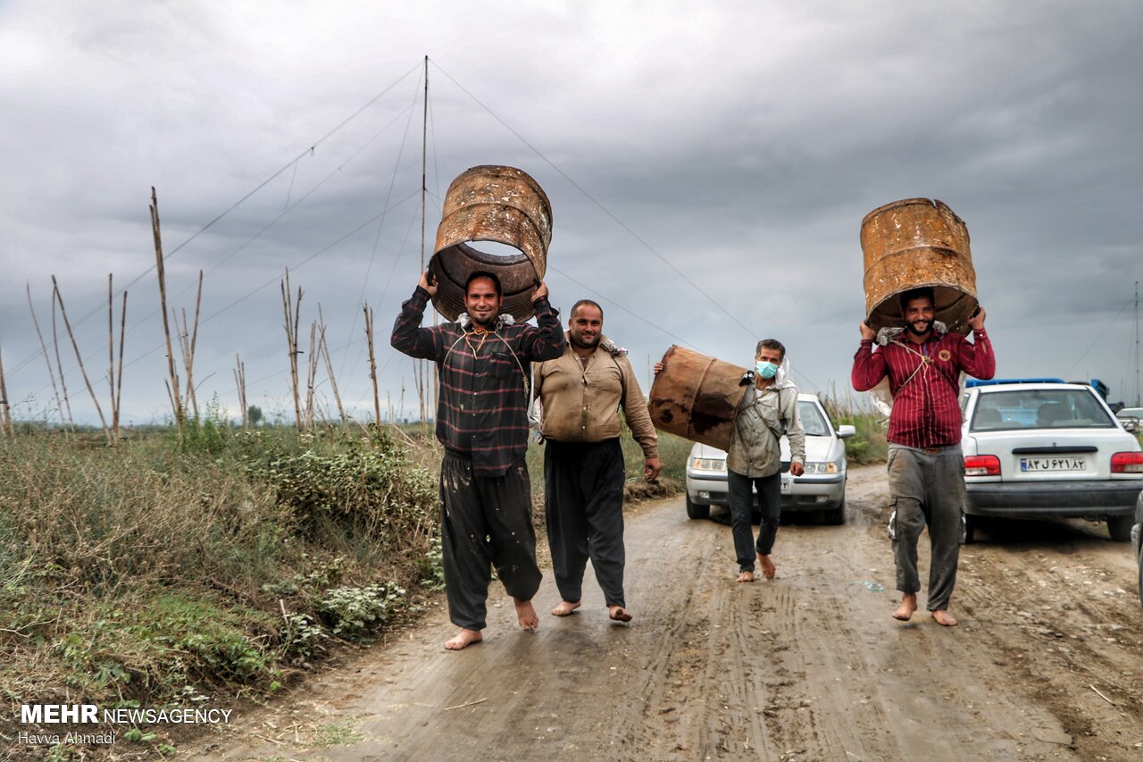 مراسم‌ سنتی چپی زنی در بابلسر