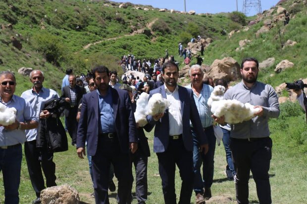 برگزاری آئین سنتی «ورف چال» پای دماوند