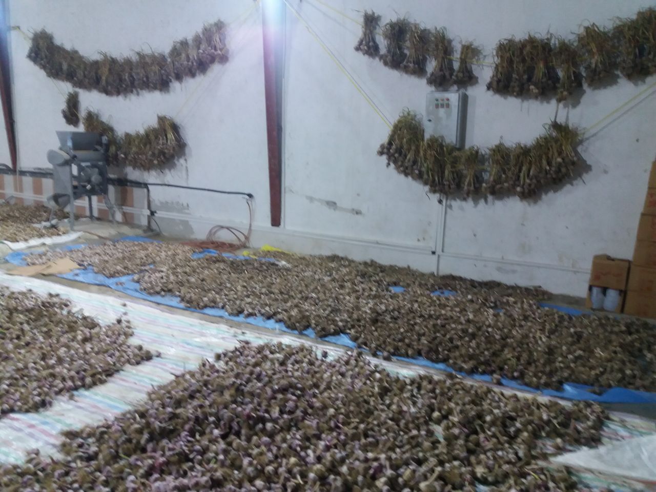 سیر روستای اتو سوادکوه