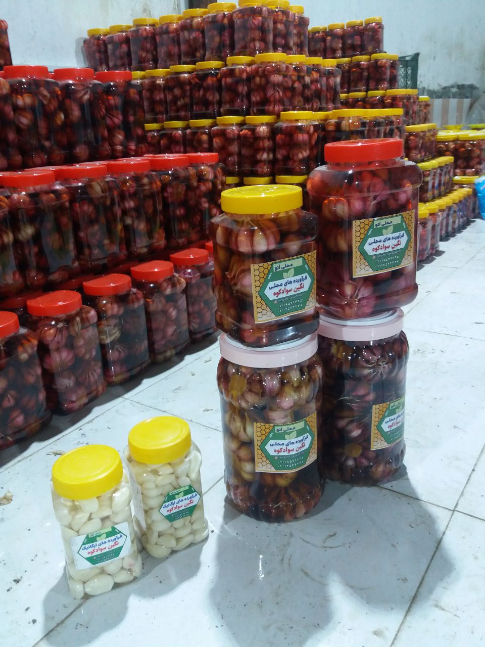 سیر اتو