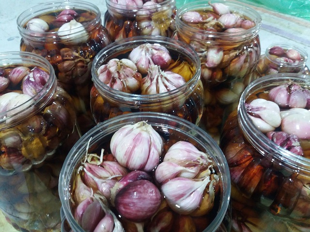 سیر اتو