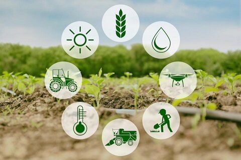 ضریب پایین استفاده از اینترنت و هوش مصنوعی در توسعه کشاورزی هوشمند مازندران