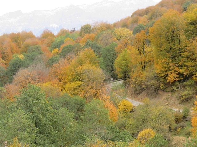 پیش بینی آغاز بارش‌های پراکنده پاییزی در مازنداران