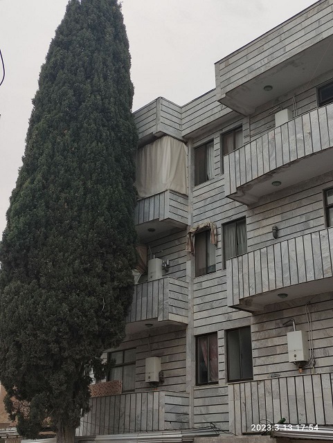  سرو کوچه مادری / مهتاب مظفری سوادکوهی