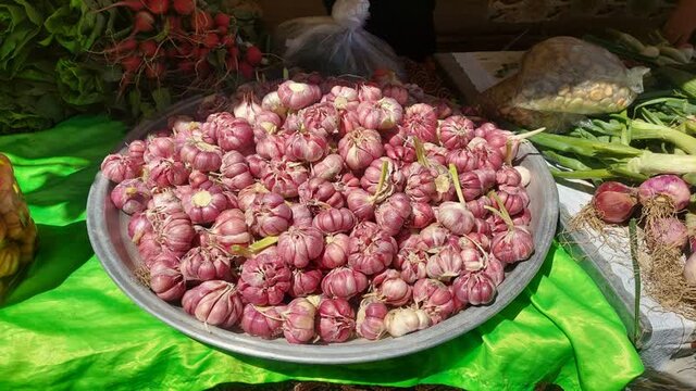 جشنواره سیر "اَتو" و گل محمدی "سنگده" در مازندران برگزار شد