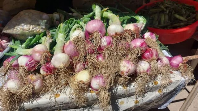 جشنواره سیر "اَتو" و گل محمدی "سنگده" در مازندران برگزار شد