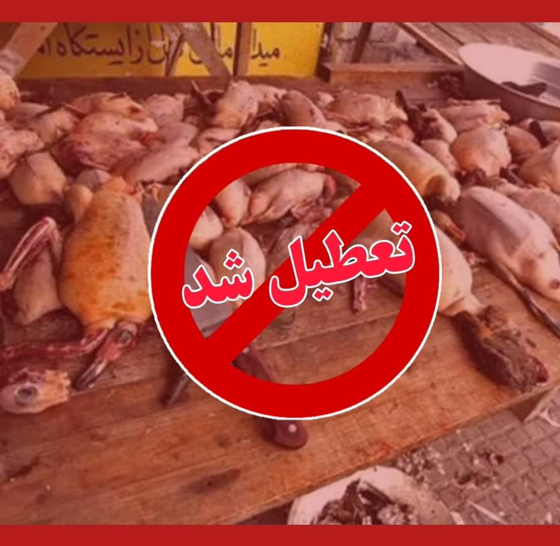 تعطیلی و برچیده شدن بازار غیرقانونی فروش و تجارت پرندگان وحشی در فریدونکنار