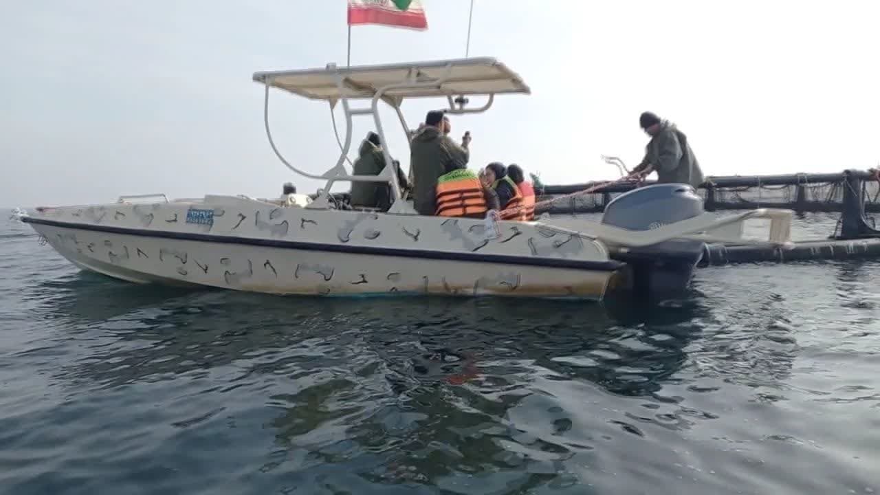فعال شدن۴۰ مزرعه پرورش ماهی در قفس جدید امسال در مازندران