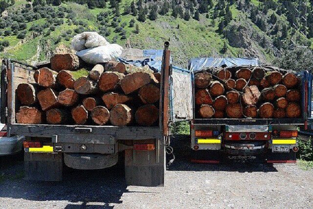  بازداشت ۹ متخلف طی ۴۸ ساعت گذشته در منابع طبیعی مازندران