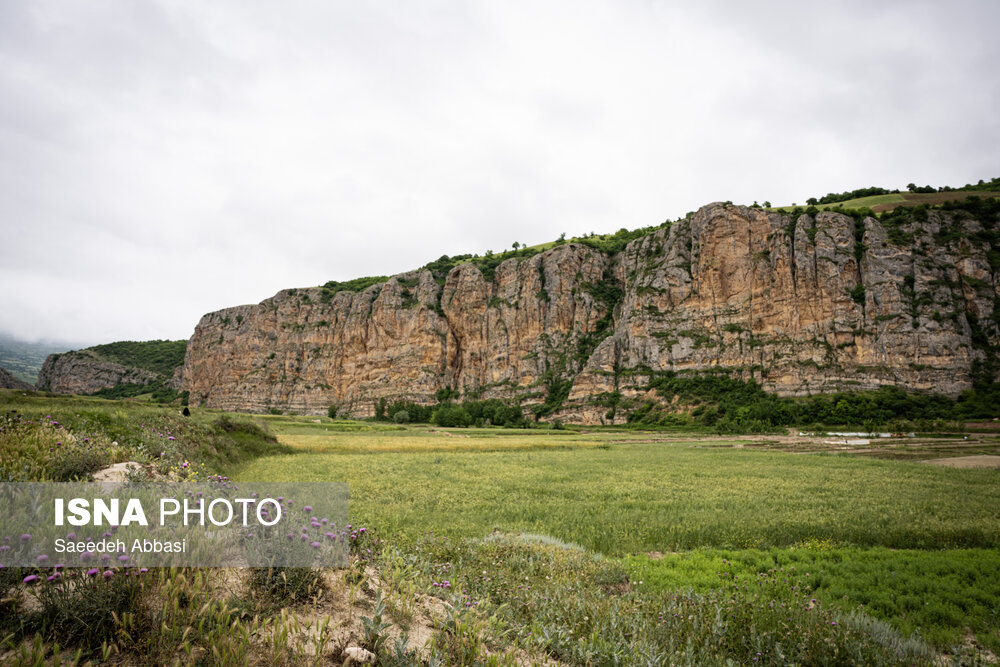 قبرستان روستای سفید چاه در گلوگاه بهشهر