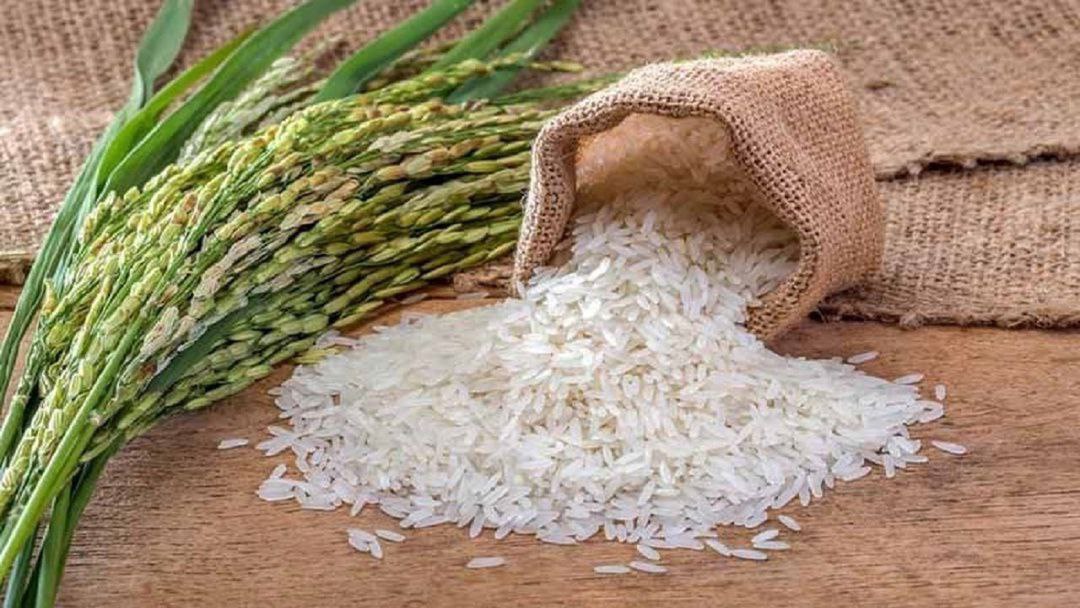 افزون بر یک میلیون تن برنج سفید در مازندران تولید شد