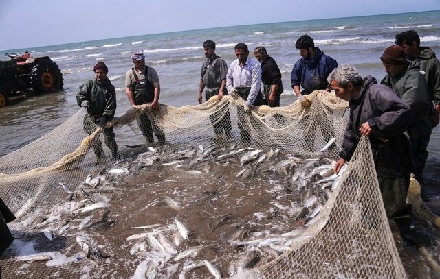 مازندران رتبه نخست آبزی پروری را در دولت چهاردهم کسب کرد