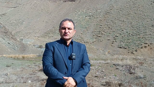 مدیرکل منابع طبیعی مازندران - نوشهر: قوانین قطع درخت بازدارنده نیست